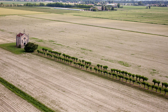 Aerial photograpy of Alley to the chapel near Cesarolo in Cesarolo in Veneto, Italy