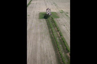 Oblique view of Alley to the chapel near Cesarolo in Cesarolo in Veneto, Italy