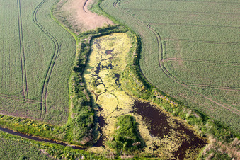 Oblique view of Saint Nicholas at Wade in the state England, Great Britain
