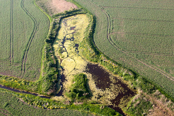 Saint Nicholas at Wade in the state England, Great Britain from above