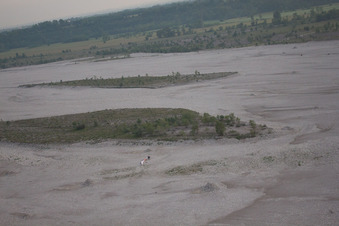 TagliamentO in Solimbergo in the state Friuli Venezia Giulia, Italy out of the air