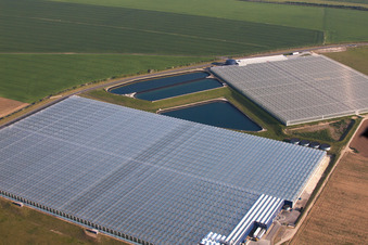 Glass roof surfaces in the greenhouse for vegetable growing ranks of von Thanet Earth in England, United Kingdom