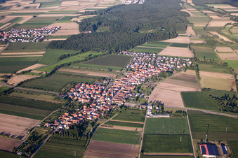 Oblique view of From the west in Erlenbach bei Kandel in the state Rhineland-Palatinate, Germany