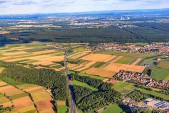 A65 between AS Kandel-North and Kandel-Central in the district Minderslachen in Kandel in the state Rhineland-Palatinate, Germany