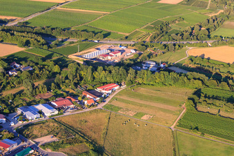 Geothermal plant of Pfalzwerke geofuture GmbH at Insheim on the A65 in Insheim in the state Rhineland-Palatinate, Germany from the plane