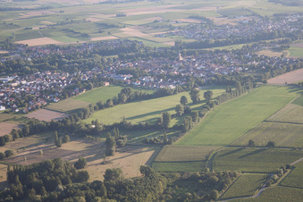 District Billigheim in Billigheim-Ingenheim in the state Rhineland-Palatinate, Germany seen from above