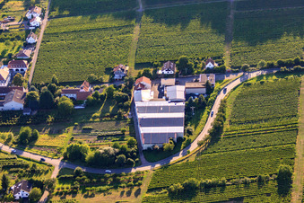 Oblique view of Emil Wissing Winery GmbH in Oberotterbach in the state Rhineland-Palatinate, Germany