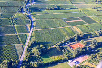Tennis Club TCO Oberotterbach and SV Oberotterbach 1950 eV in Dörrenbach in the state Rhineland-Palatinate, Germany