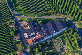 Emil Wissing Winery GmbH in Oberotterbach in the state Rhineland-Palatinate, Germany seen from above