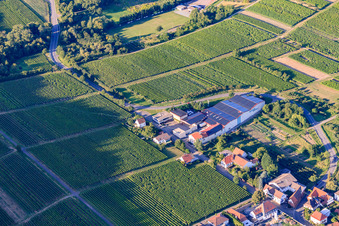 Emil Wissing Winery GmbH in Oberotterbach in the state Rhineland-Palatinate, Germany from the plane