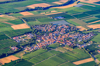 Village overview from the southwest in Impflingen in the state Rhineland-Palatinate, Germany