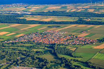 Village overview from the north in Steinweiler in the state Rhineland-Palatinate, Germany
