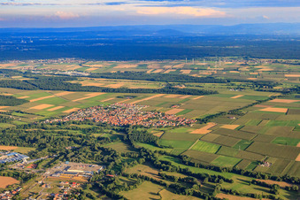 Aerial view of Village overview from the northwest in Steinweiler in the state Rhineland-Palatinate, Germany