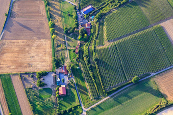 Aerial photograpy of Ranch Herxe in Herxheim bei Landau in the state Rhineland-Palatinate, Germany