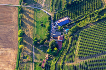 Ranch Herxe in Herxheim bei Landau in the state Rhineland-Palatinate, Germany from above