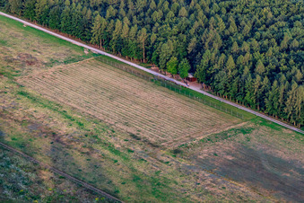 Oblique view of Model airfield of MSC Rülzheim from the west in Rülzheim in the state Rhineland-Palatinate, Germany