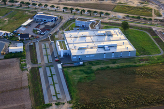 New building DBK David + Baader GmbH in Rülzheim in the state Rhineland-Palatinate, Germany from the drone perspective