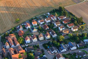 Waldsr in Herxheimweyher in the state Rhineland-Palatinate, Germany
