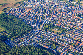 Old Cemetery in Sandhausen in the state Baden-Wuerttemberg, Germany