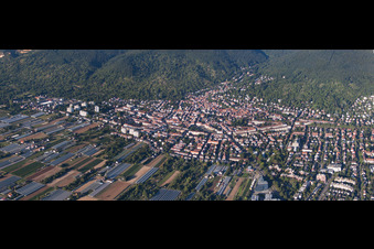 Aerial photograpy of District Handschuhsheim in Heidelberg in the state Baden-Wuerttemberg, Germany
