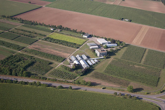 Bird's eye view of Dossenheim in the state Baden-Wuerttemberg, Germany