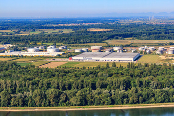 Interpneu Handelsgesellschaft mbH - Tire Logistics Center in Speyer in the state Rhineland-Palatinate, Germany