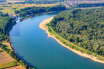 Sandbank in the Rhine at Speyer in Speyer in the state Rhineland-Palatinate, Germany