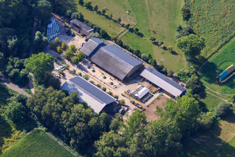 Oblique view of Kennelhof Riding Stables in the district Sondernheim in Germersheim in the state Rhineland-Palatinate, Germany