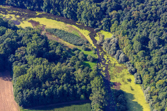 Michelsbach in the Altrheinauen in the district Sondernheim in Germersheim in the state Rhineland-Palatinate, Germany