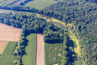 Aerial view of Michelsbach in the Altrheinauen in the district Sondernheim in Germersheim in the state Rhineland-Palatinate, Germany