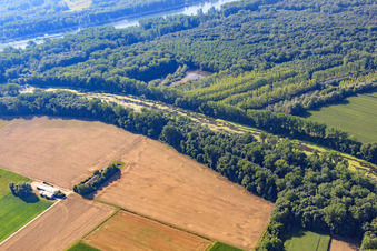 Aerial photograpy of Michelsbach in the Altrheinauen in the district Sondernheim in Germersheim in the state Rhineland-Palatinate, Germany