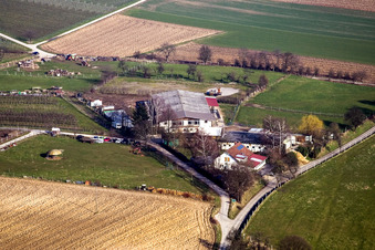 Heidebrunnerhof horse farm in Oberotterbach in the state Rhineland-Palatinate, Germany