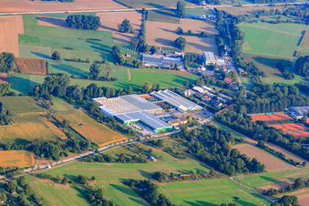 Mauk Garden World Karlsruhe - Plants Mauk Flower Paradise GmbH in the district Grötzingen in Karlsruhe in the state Baden-Wuerttemberg, Germany