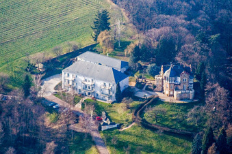 Yoga La Douce in Weinstr in the district Pleisweiler in Bad Bergzabern in the state Rhineland-Palatinate, Germany