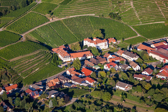 Neuweir Castle in the district Neuweier in Baden-Baden in the state Baden-Wuerttemberg, Germany from above