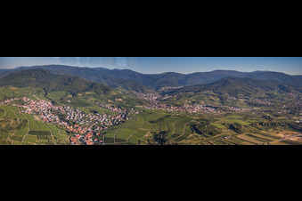 Panoramic perspective Village - view on the edge of wine yards and black forest in the district Altschweier in Buehl in the state Baden-Wurttemberg