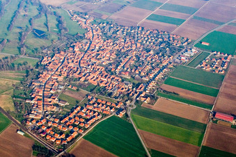 Aerial view of Village - view on the edge of agricultural fields and farmland in Steinweiler in the state Rhineland-Palatinate