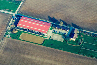 Oblique view of Foal farm in Steinweiler in the state Rhineland-Palatinate, Germany
