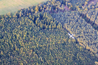 Pilatus in a nosedive after parachutist drop in Schweighofen in the state Rhineland-Palatinate, Germany