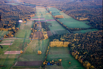 Aerial view of Forest area Bienwald, Otterbachtal in Kandel in the state Rhineland-Palatinate, Germany