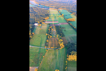 Aerial view of Otterbach lowlands and Bienwald in Minfeld in the state Rhineland-Palatinate, Germany