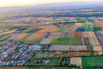Wind farm Minfeld from the south in Minfeld in the state Rhineland-Palatinate, Germany