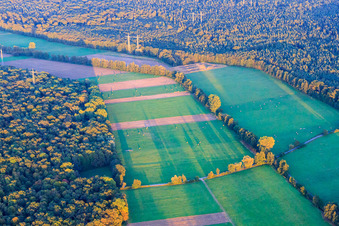 Bruchbach and Otterbach lowlands and Bienwald in Kandel in the state Rhineland-Palatinate, Germany