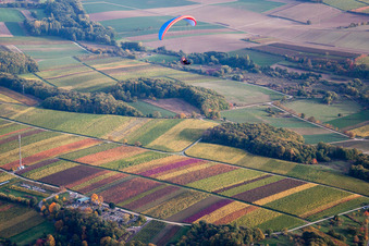 Fields of wine cultivation landscape with paraglider in Klingenmuenster in the state Rhineland-Palatinate