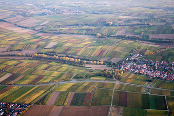 District Wollmesheim in Landau in der Pfalz in the state Rhineland-Palatinate, Germany from a drone