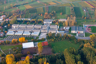 Aerial photograpy of Lycée Stanislas in the district Altenstadt in Wissembourg in the state Bas-Rhin, France