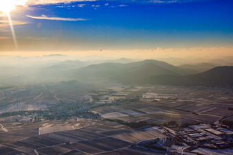 Southern Palatinate in winter with snow in Göcklingen in the state Rhineland-Palatinate, Germany