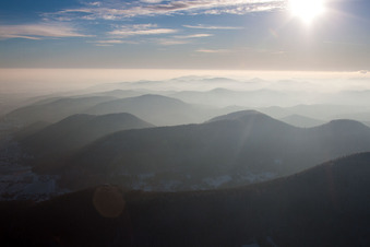 Forest and mountain scenery Pfaelzerwald in evening lightt in near Leinsweiler in the state Rhineland-Palatinate