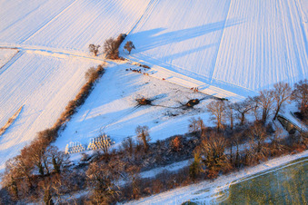Horse paddock in winter with snow in Freckenfeld in the state Rhineland-Palatinate, Germany