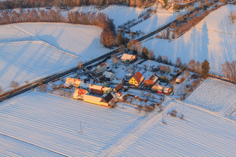 Aerial view of Welchhof district in winter with snow in Freckenfeld in the state Rhineland-Palatinate, Germany